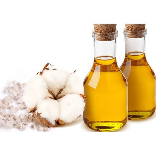 Cotton-Seed-Oil