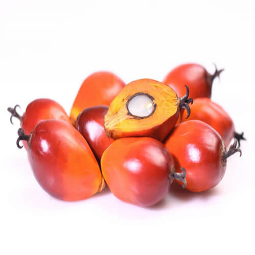 Palm-Nuts