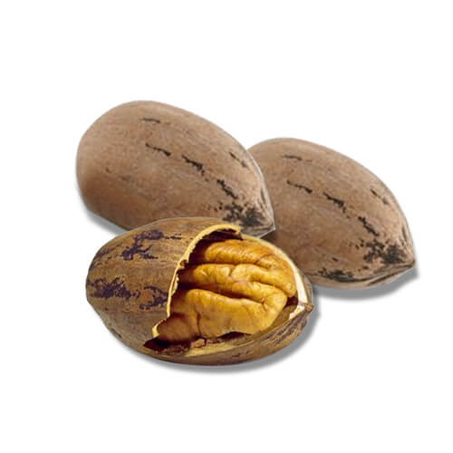 Pecan-Nuts