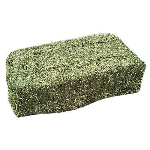rhodes-hay-500×500-1